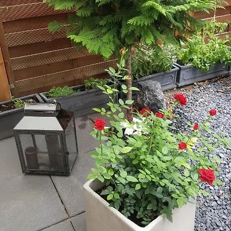 Garden Paradise,flat Near Messe *